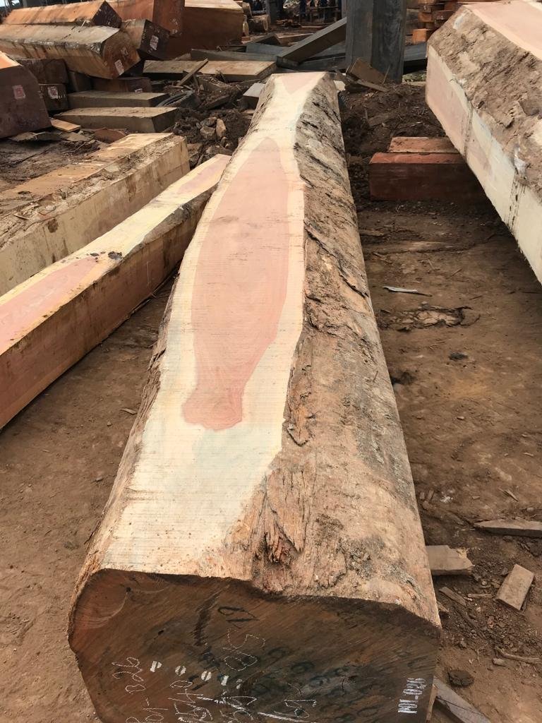 Iroko Lumber For Sale
