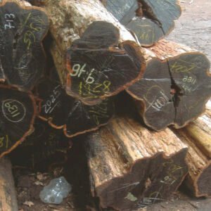 Wholesale black ebony lumber suppliers