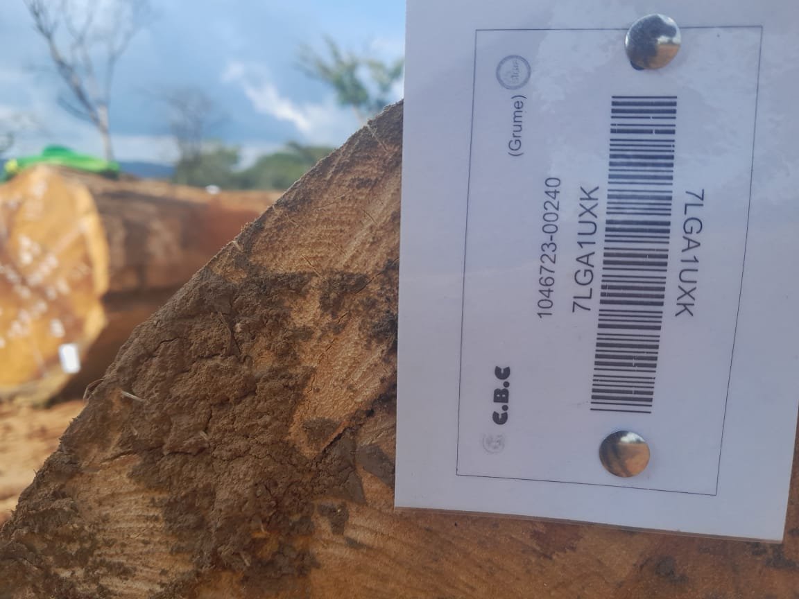 Purchase certified African hardwoods